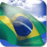 brazil flag android application logo